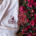 فندق Steinbock بونتريسنا