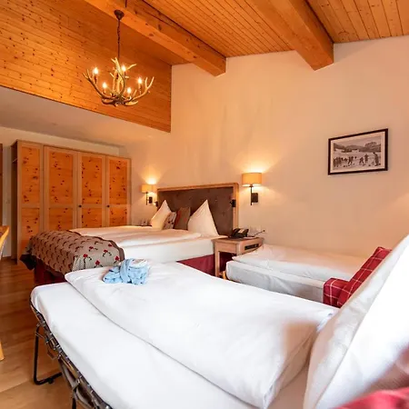 Steinbock Pontresina