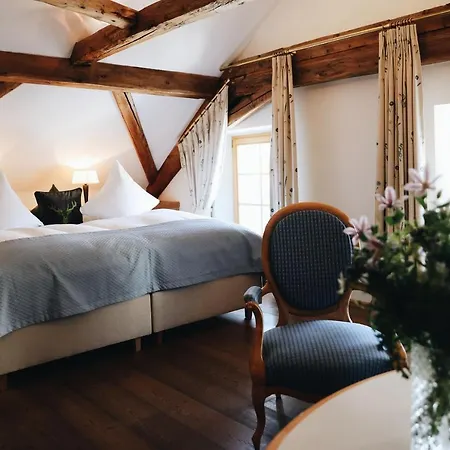 Steinbock 3* Pontresina