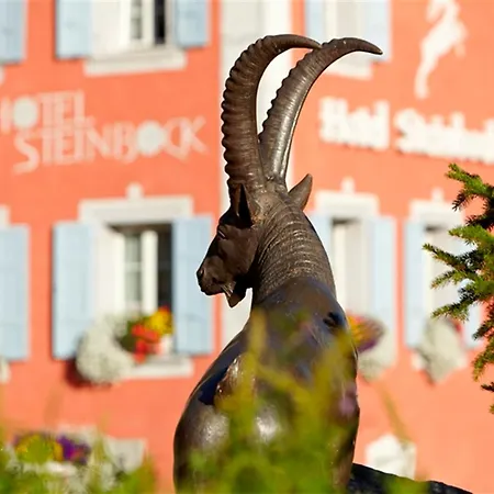Steinbock 3* Pontresina