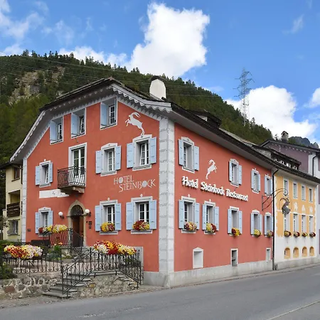 Steinbock Pontresina