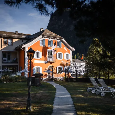 Steinbock Pontresina