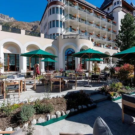 Steinbock Pontresina