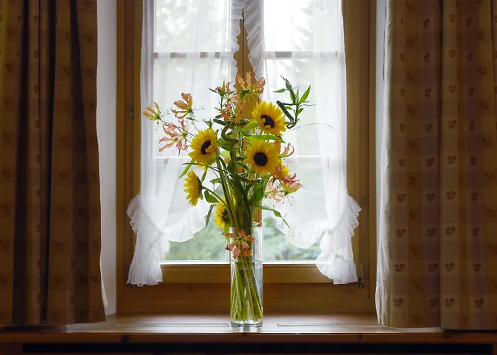 Steinbock Pontresina