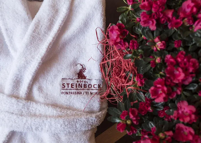Otel Steinbock Pontresina